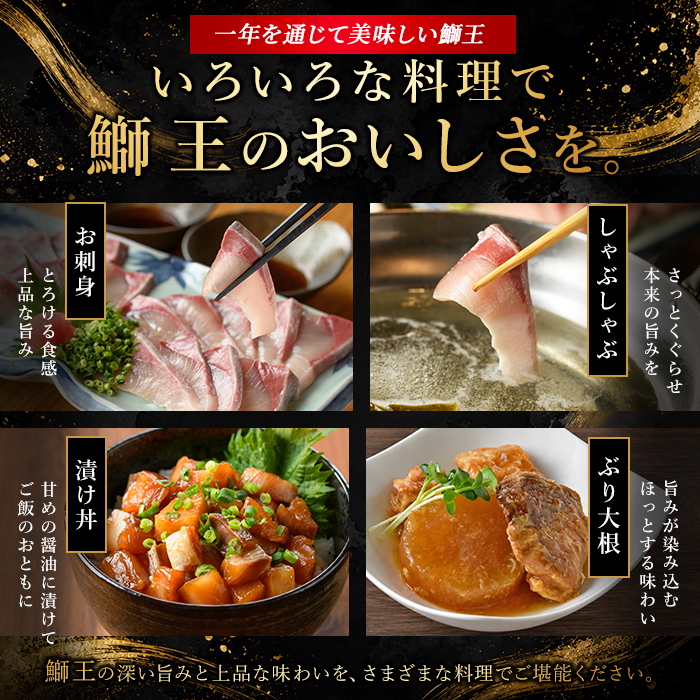 【冷凍】【10月以降順次発送】【切って盛るだけ】『旅サラダ』で紹介ぶりの王様「 鰤王 」 ロイン 2節 (約1.0kg～)【鰤王しょう油付】 半身 産地直送 新鮮 旨味が抜群の 長島町 特産品 ブランド ぶり 鰤 ブリ 切り身 真空 刺身 ぶりしゃぶ しゃぶしゃぶ 魚 魚介 人気 ランキング 【JFA】jfa-1678B