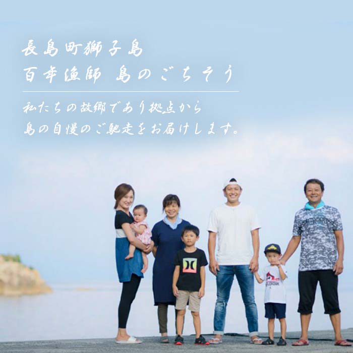 獅子島産 百年漁師の鰤 お刺身用サク (約150g×4パック) 【島のごちそう】gochi-7042R8