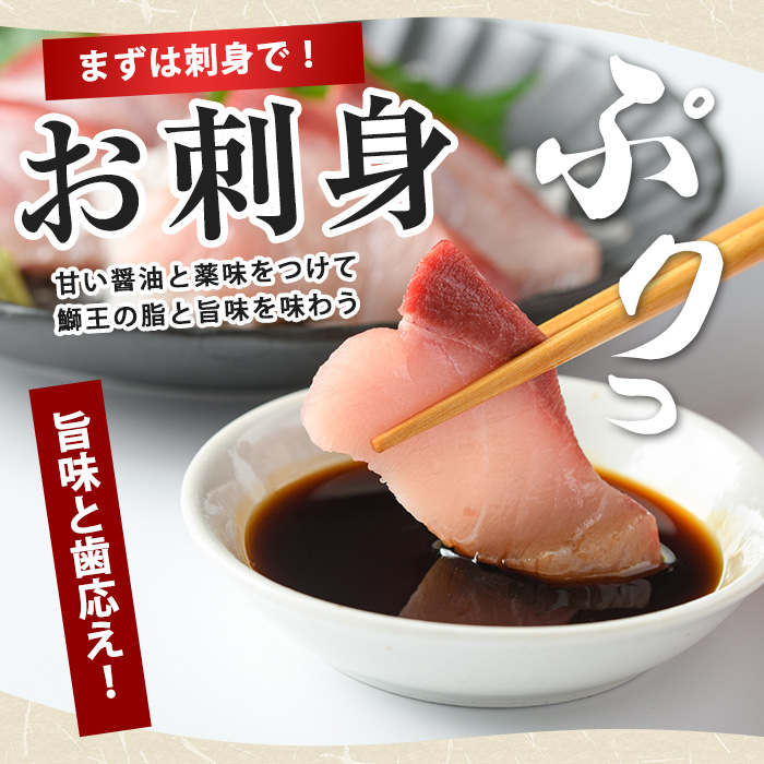 【期間限定特別寄附額+鰤王醤油付き】『旅サラダ』で紹介ぶりの王様「 鰤王 」 フィレ 半身 (約1.2〜・フィレ1枚) 産地直送 新鮮 旨味が抜群の 長島町 特産品 ブランド ぶり 鰤 ブリ 切り身 真空 冷蔵 刺身 ぶりしゃぶ しゃぶしゃぶ 魚 魚介 人気 ランキング 【JFA】jfa-1629