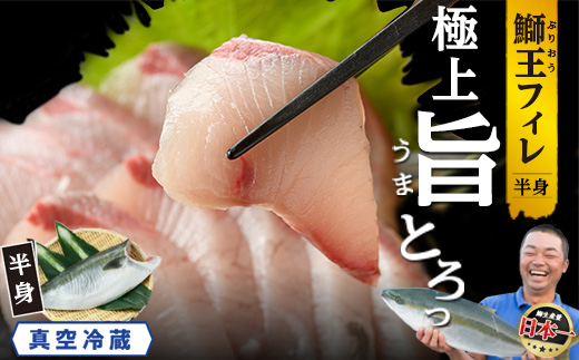 【先行予約 2025年10月より順次発送】 『旅サラダ』で紹介ぶりの王様「 鰤王 」 フィレ 半身 (約1.3~1.5kg・フィレ1枚) 産地直送 新鮮 旨味が抜群の 長島町 特産品 ブランド ぶり 鰤 ブリ 切り身 真空 冷蔵 刺身 ぶりしゃぶ しゃぶしゃぶ 魚 魚介 人気 ランキング 【JFA】jfa-1483