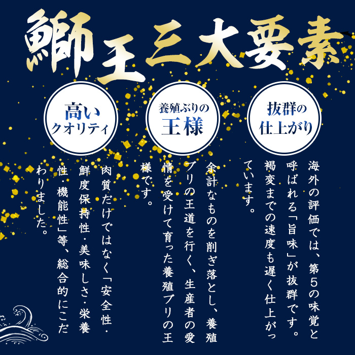 【先行予約 2025年10月より順次発送】【切って盛るだけ】『旅サラダ』で紹介ぶりの王様「 鰤王 」 ロイン 2節 (約0.8kg～1.0kg) 半身 産地直送 新鮮 旨味が抜群の 長島町 特産品 ブランド ぶり 鰤 ブリ 切り身 真空 冷蔵 刺身 ぶりしゃぶ しゃぶしゃぶ 魚 魚介 人気 ランキング 【JFA】jfa-1484