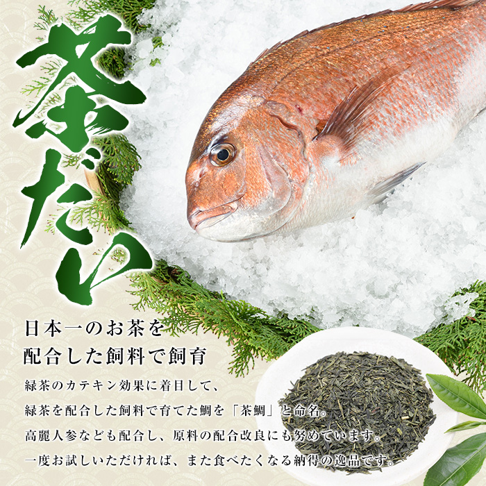 茶鯛　1尾（約2kg）_usui-1034