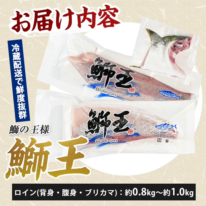 【14日前後で順次発送】【切って盛るだけ】『旅サラダ』で紹介ぶりの王様「 鰤王 」 ロイン 2節 (約0.8kg〜1.0kg) 半身 産地直送 新鮮 旨味が抜群の 長島町 特産品 ブランド ぶり 鰤 ブリ 切り身 真空 冷蔵 刺身 ぶりしゃぶ しゃぶしゃぶ 魚 魚介 人気 ランキング 【JFA】jfa-1484