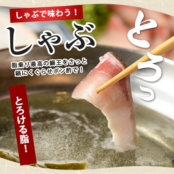 【期間限定特別寄附額+鰤王醤油付き】『旅サラダ』で紹介ぶりの王様「 鰤王 」 フィレ 半身 (約1.2〜・フィレ1枚) 産地直送 新鮮 旨味が抜群の 長島町 特産品 ブランド ぶり 鰤 ブリ 切り身 真空 冷蔵 刺身 ぶりしゃぶ しゃぶしゃぶ 魚 魚介 人気 ランキング 【JFA】jfa-1629