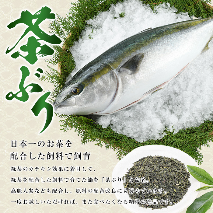 【冷凍】ブリカマ付！茶ぶり スキンレスロイン(1尾分・4分の1カット済)【ウスイ】 usui-7324R8B