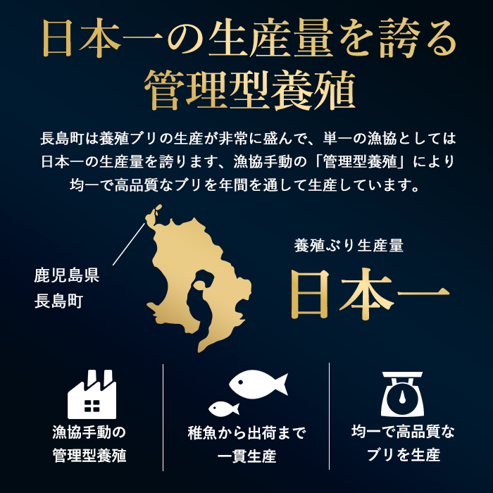 【冷蔵】ぶりの王様「 鰤王 」お試しスキンレスロインハーフ 2P入り【鰤王しょう油付】 ぶり ブリ 鰤 ぶりしゃぶ たたき 産地直送 新鮮 旨味が抜群の 長島町 特産品【JFA】jfa-1679A