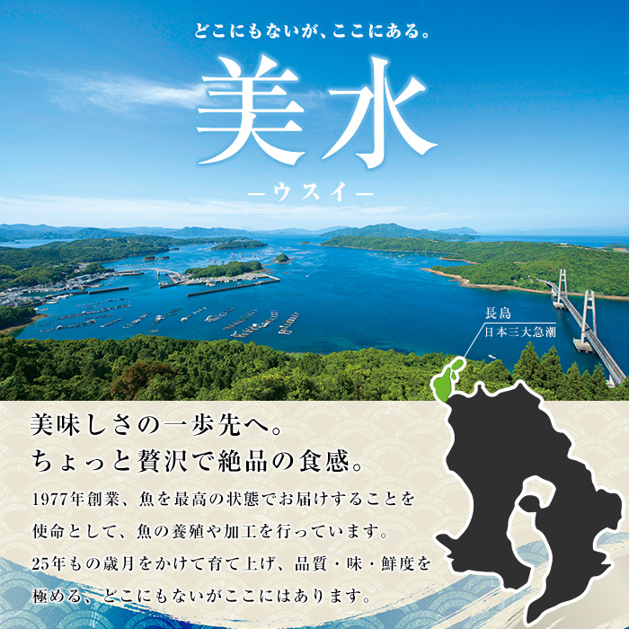 【冷凍】ブリカマ付！茶ぶり スキンレスロイン(1尾分・4分の1カット済)【ウスイ】 usui-7324R8B