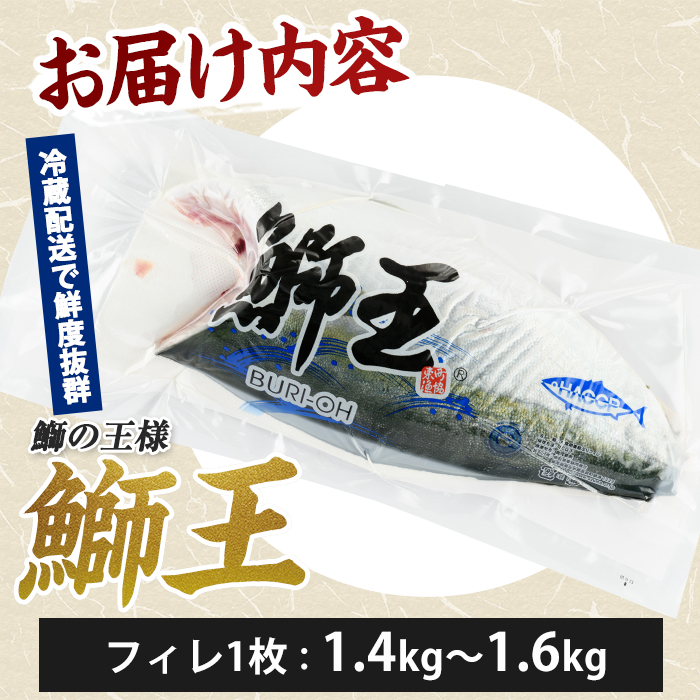 【期間限定】＼年末発送 先行予約／＜数量限定＞【2026年12月26日発送】『旅サラダ』で紹介ぶりの王様「 鰤王 」 フィレ 半身 (約1.4～1.6kg・フィレ1枚) 産地直送 新鮮 旨味が抜群の 長島町 特産品 ブランド ぶり 鰤 ブリ 切り身 真空 冷蔵 刺身 ぶりしゃぶ しゃぶしゃぶ 魚 魚介 人気 ランキング 年末年始発送【JFA】jfa-7006-26R8