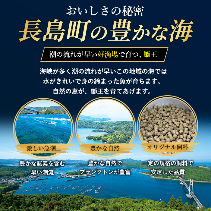 【冷蔵】ぶりの王様「 鰤王 」お試しスキンレスロインハーフ 2P入り【鰤王しょう油付】 ぶり ブリ 鰤 ぶりしゃぶ たたき 産地直送 新鮮 旨味が抜群の 長島町 特産品【JFA】jfa-1679A