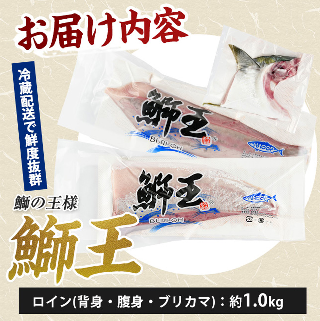 【先行予約】【10月以降順次発送】【切って盛るだけ】『旅サラダ』で紹介ぶりの王様「 鰤王 」 ロイン 2節 (約1.0kg～) 半身 産地直送 新鮮 旨味が抜群の 長島町 特産品 ブランド ぶり 鰤 ブリ 切り身 真空 冷蔵 刺身 ぶりしゃぶ しゃぶしゃぶ 魚 魚介 人気 ランキング 【JFA】jfa-7132