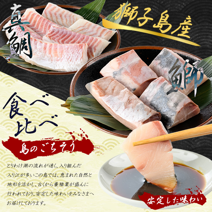 獅子島産 百年漁師の鰤 (約150g×4P) と真鯛 (約100g×6P) お刺身用サク食べ比べ【島のごちそう】gochi-7059R8