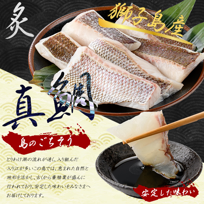 獅子島産 百年漁師の真鯛 炙り刺身サク (約100g×6パック) 【島のごちそう】gochi-7054R8
