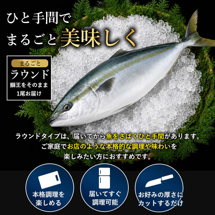 ＼年末発送 先行予約／【12月30日発送】鰤王ラウンド（約3.5㎏～）テレビで紹介ぶりの王様「 鰤王 」 まるごと 1本 ラウンド 先行予約 産地直送 長島町 特産品 ブランド 鰤 冷蔵 ふるさと納税 ぶり 刺身 ぶりしゃぶ ぶり大根 海鮮丼 年末年始発送 【JFA】jfa-7115-30