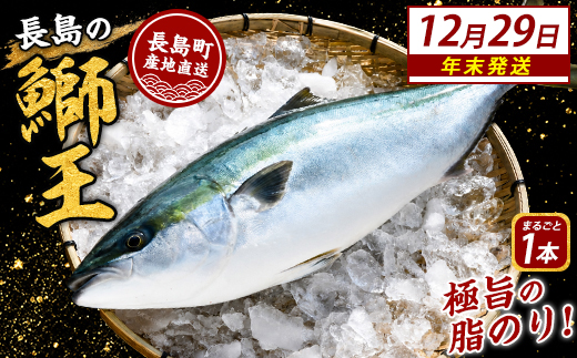 ＼年末発送 先行予約／【12月29日発送】鰤王ラウンド（約3.5㎏～）テレビで紹介ぶりの王様「 鰤王 」 まるごと 1本 ラウンド 先行予約 産地直送 長島町 特産品 ブランド 鰤 冷蔵 ふるさと納税 ぶり 刺身 ぶりしゃぶ ぶり大根 海鮮丼 年末年始発送 【JFA】jfa-7115-29