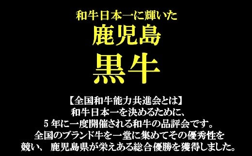 No.3036-1　鹿児島県産 黒毛和牛 サーロインステーキ