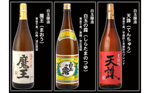 No.10004-1 大隅蔵めぐり　飲み比べ一升瓶10本セット