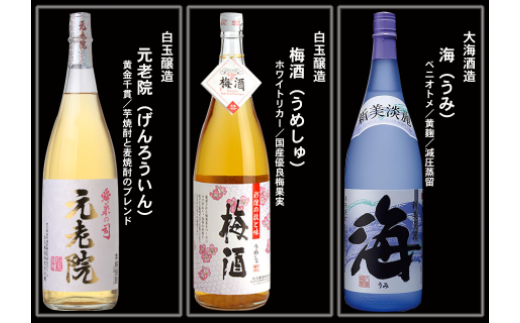 No.10004-1 大隅蔵めぐり　飲み比べ一升瓶10本セット