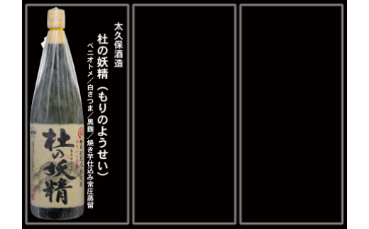 No.10004-1 大隅蔵めぐり　飲み比べ一升瓶10本セット