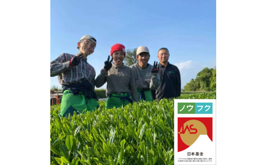 No.059-1 鹿児島茶【ノウフクJAS認証茶】（100g×1袋）