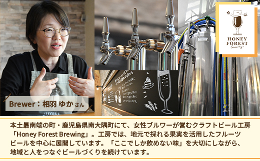 極上！本土最南端のクラフトビール！飲み比べ6種12本セット HF-12｜クラフトビール 地ビール フルーツエール 酒 柑橘 トマト レモン 希少 限定 手作り はちみつ 人気 詰め合わせ ギフト 香り 呑み 晩酌 贈り物 330ml 鹿児島県 南大隅町 Honey Forest Brewing