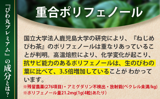 【定期便 全6回】≪6ヶ月連続で毎月お届け≫ びわ丸プレミアム ≪1回あたり(360粒入×1袋) ≫  健康補助食品 びわ茶含有加工食品 TO-14-NP | 国産 びわ茶 びわの葉 サプリメント 乳酸菌 ノンカフェイン ポリフェノール ネコポス 鹿児島県 南大隅町 十津川農場