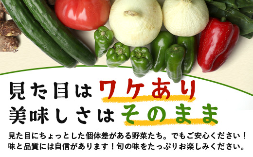 【定期便全6回】【規格外】本土最南端から 旬のおまかせ野菜セットA 10品目以上 NI-5 ｜ 旬 野菜 やさい 果物 くだもの 産地直送 農産物 冷蔵 鹿児島県 南大隅町産 詰合せ おまかせ 家庭用 訳あり なんたん市場