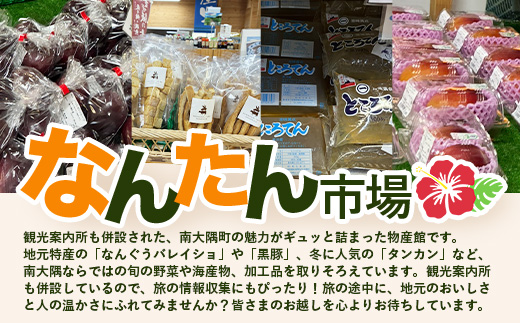 【定期便全6回】【規格外】本土最南端から 旬のおまかせ野菜セットA 10品目以上 NI-5 ｜ 旬 野菜 やさい 果物 くだもの 産地直送 農産物 冷蔵 鹿児島県 南大隅町産 詰合せ おまかせ 家庭用 訳あり なんたん市場
