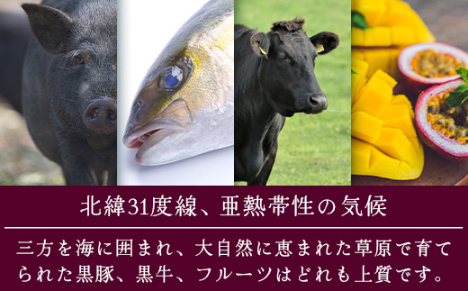 【土曜・休前日、繁忙期Aプラン】奥屋敷城内 1棟貸宿泊券 CB7013 | 宿泊券 人気 ゲストハウス 本土最南端 癒しの空間 南大隅町 一棟貸切 古民家 貸切 貸し切り