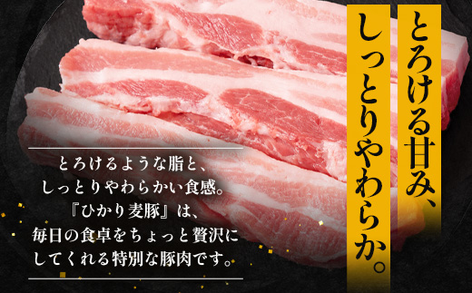 サムギョプサル用 厚切り豚バラ肉 約2.7kg（300g×9パック） ひかり麦豚 トレーなし HM-21 ｜ サムギョプサル 肉 お肉 にく 豚肉 バラ肉 厚切り 冷凍 真空冷凍 小分け 焼肉 BBQ 産地直送 鹿児島県 南大隅町 ひかり麦豚直売所