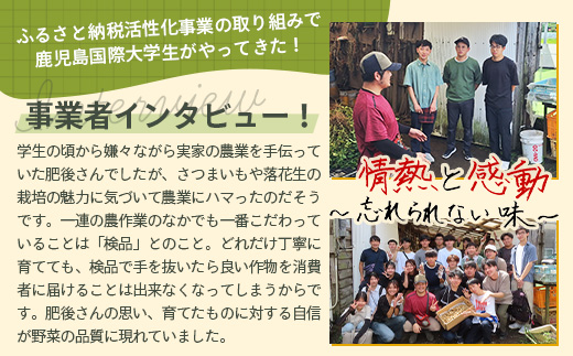 【先行予約 2026年9月下旬～順次発送】鹿児島県産 塩茹でジャンボ落花生（おおまさり） 300g×2パック 冷凍 FR-3 | ラッカセイ ピーナッツ 国産 国産最高級品種 おおまさり 大粒 柔らかい 歯ごたえ おやつ おつまみ ギフト お中元 お歳暮 鹿児島県 南大隅町 株式会社フォレスト