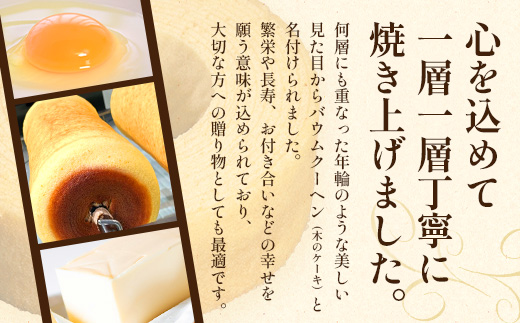 【全6回定期便】本土最南端よりだいたんなスイーツ定期便 SH-16 | たんかんゼリー チョコレートムース バウムクーヘン バームクーヘン ぷりん 果肉入り タンカン 辺塚だいだい 贅沢 ご褒美 フルーツ ゼリー 手作り おしゃれ 限定スイーツ ジューシー 冷凍 産地直送 オリジナル ギフトボックス 定期便 鹿児島県 南大隅町 31℃LINE花子