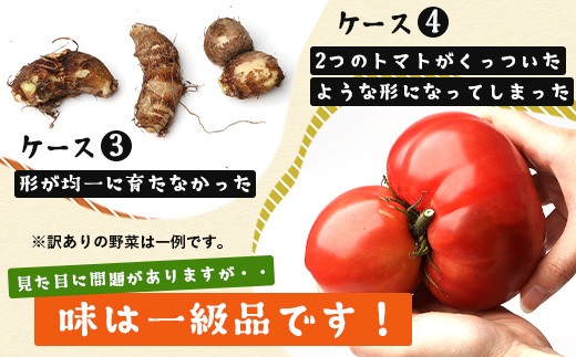 【定期便全3回】【規格外】本土最南端から 旬のおまかせ野菜セットB 12品目以上 NI-7 ｜ 旬 野菜 やさい 果物 くだもの 産地直送 農産物 冷蔵 鹿児島県 南大隅町産 詰合せ おまかせ 家庭用 訳あり なんたん市場
