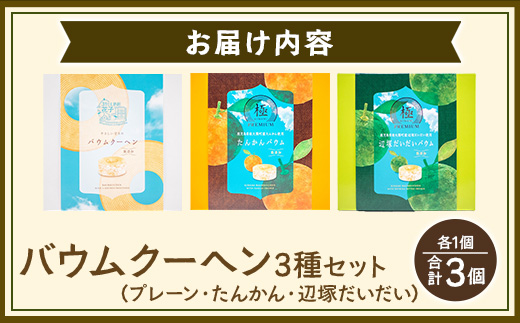 【父の日ギフトに】バウムクーヘン 3個セット ( プレーン ・ たんかん ・ 辺塚だいだい ） SH-717-FA ｜父の日 バウムクーヘン バームクーヘン スイーツ ケーキ 焼き菓子 洋菓子 お菓子 おかし おやつ デザート プレゼント 贈り物 ギフト 常温 鹿児島県 南大隅町 31℃LINE花子