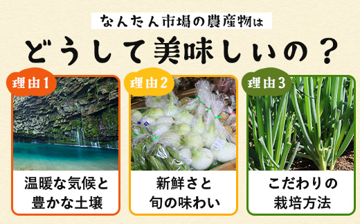 【定期便全6回】【規格外】本土最南端から 旬のおまかせ野菜セットA 10品目以上 NI-5 ｜ 旬 野菜 やさい 果物 くだもの 産地直送 農産物 冷蔵 鹿児島県 南大隅町産 詰合せ おまかせ 家庭用 訳あり なんたん市場