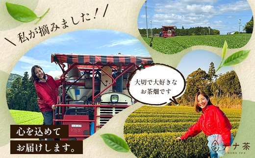 【先行予約】【2026年摘みたて！】新茶 ナナ茶 玉露仕立て あさのか 80g×2パック RS-9｜お茶 茶 茶葉 お茶の葉 緑茶 高級緑茶 高級 日本茶 鹿児島茶 国産 おしゃれ ブレンド茶 シングルオリジン 被覆栽培 鹿児島県 南大隅町 株式会社Re-Shine