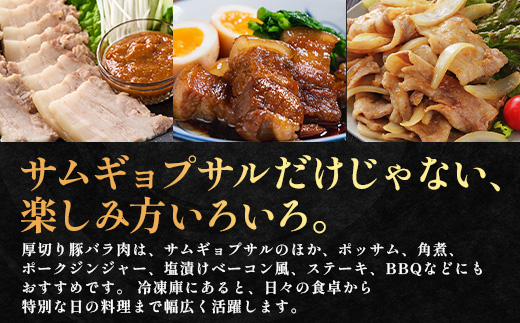 サムギョプサル用 厚切り豚バラ肉 約2.7kg（300g×9パック） ひかり麦豚 トレーなし HM-21 ｜ サムギョプサル 肉 お肉 にく 豚肉 バラ肉 厚切り 冷凍 真空冷凍 小分け 焼肉 BBQ 産地直送 鹿児島県 南大隅町 ひかり麦豚直売所
