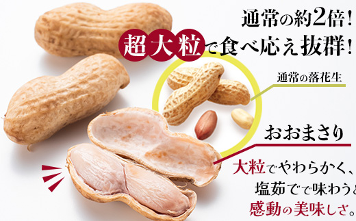 【先行予約 2026年9月下旬～順次発送】鹿児島県産 塩茹でジャンボ落花生（おおまさり） 300g×5パック 冷凍 FR-5 | 落花生 らっかせい ラッカセイ ピーナッツ 国産 最高級品種 おおまさり 大粒 おやつ おつまみ 鹿児島県 南大隅町 株式会社フォレスト