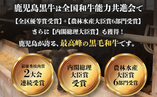 【父の日ギフトに】5等級★鹿児島黒牛 すき焼き セット 2種600g W7502-FA |父の日 最優秀技肉賞 内閣総理大臣賞 受賞 国産 国産牛 鹿児島県 牛肉 黒牛 黒毛和牛 和牛 鹿児島黒牛 肩ロース ウデ スライス 赤身 すきやき 贅沢 グルメ 冷凍 産地直送 南大隅町 JA鹿児島きもつき