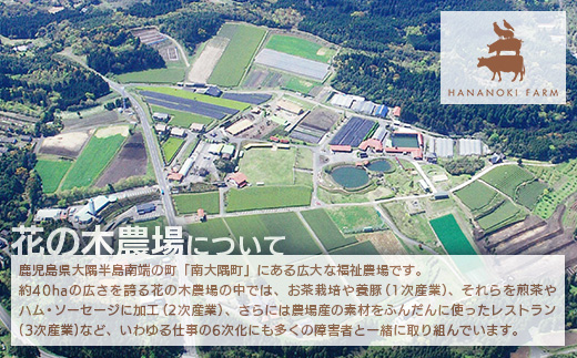 《全3回定期便》<2ヶ月に1回お届け> 花の木農場【ハム詰め合わせセット】7種 計1,000g HK-18│ハム ベーコン クラフトハム 人気 南大隅町 第2花の木ファーム ノウフク ソーセージ 詰め合わせ セット ウインナー 国産 厳選