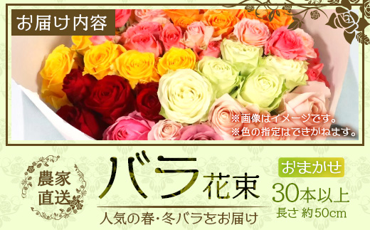 【お歳暮】【人気の冬薔薇をお届け】ばら農家直送！バラ花束30本以上お届け(色はおまかせ) TB-16-os│花 フラワー 花束 ばら 薔薇 バラ 誕生日 記念日 結婚祝い ギフト プレゼント お祝い 贈り物 贈答 鹿児島県 南大隅町 富田バラ園 お歳暮