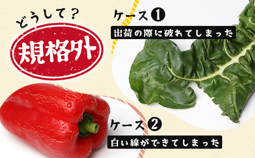 【定期便全3回】【規格外】本土最南端から 旬のおまかせ野菜セットA 10品目以上 NI-4 ｜ 旬 野菜 やさい 果物 くだもの 産地直送 農産物 冷蔵 鹿児島県 南大隅町産 詰合せ おまかせ 家庭用 訳あり なんたん市場