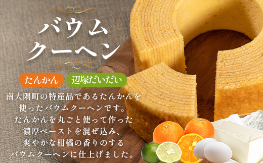 【全12回定期便】本土最南端よりだいたんなスイーツ定期便 SH-17 | たんかんゼリー チョコレートムース バウムクーヘン バームクーヘン ぷりん 果肉入り タンカン 辺塚だいだい 贅沢 ご褒美 フルーツ ゼリー 手作り おしゃれ 限定スイーツ ジューシー 冷凍 産地直送 オリジナル ギフトボックス 定期便 鹿児島県 南大隅町 31℃LINE花子