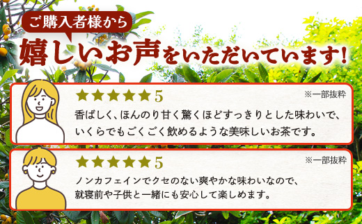 【６回定期便】鹿児島県産 ねじめびわ茶 ティーバック（20包入×10袋）ノンカフェイン TO-23 | 国産 お茶 茶 カロリーゼロ 無香料 無着色 トルマリン石焙煎 さわやか 甘み 香ばしい おいしい びわの葉 産地直送 定期便 鹿児島県 南大隅町 十津川農場