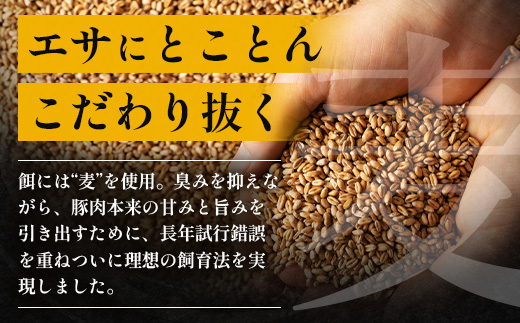 サムギョプサル用 厚切り豚バラ肉 約1.8kg（300g×6パック） ひかり麦豚 トレーなし HM-20 ｜ サムギョプサル 肉 お肉 にく 豚肉 バラ肉 厚切り 冷凍 真空冷凍 小分け 焼肉 BBQ 産地直送 鹿児島県 南大隅町 ひかり麦豚直売所
