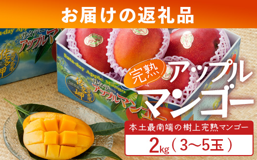 【先行予約】☆本土最南端☆佐多の果樹園で育てた 完熟アップルマンゴー 2kg (3～5玉) 【2026年7月上旬以降順次発送】 ST-408 ｜鹿児島県 南大隅町 産地直送 旬 マンゴー フルーツ 果物 くだもの アップル マンゴー 詰め合わせ 第一佐多果樹園