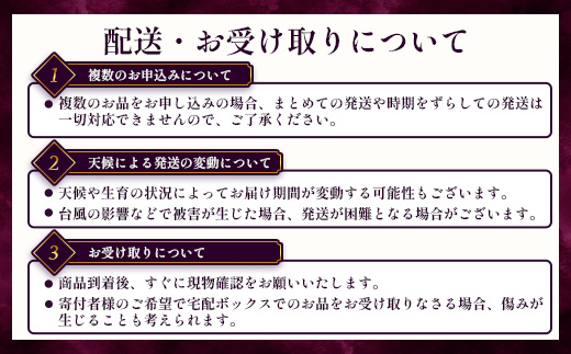 【期間限定・数量限定】本土最南端のぶどう 高墨 約2kg(4～6房）種無し TE-2｜ 黒ぶどう たかすみ 産地直送 旬 ブドウ 葡萄 ぶどう フルーツ 果物 くだもの 果実 巨峰 枝変わり 鹿児島県 南大隅町 有限会社ティエラ　