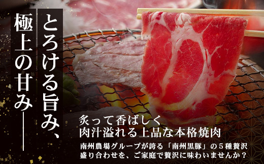 かごしま黒豚５種 贅沢盛り合わせ ( 約1kg ) NS-34 | 豚肉 ぶた セット ５種 冷凍 詰め合わせ 肩ロース ロース バラ もも ももスライス 赤身 脂身 薄切り 部位 焼肉 しゃぶしゃぶ 生姜焼き 家庭料理 炒め物 南大隅町 南州牧場