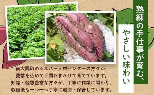 【定期便全5回】本土最南端紅はるか 冷凍 やきいも 定期便 2kg ( 1kg×2袋 )×5回 合計10kg