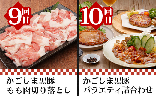 【全12回】至福の かごしま黒豚 味わい定期便 NS-37 | 鹿児島 かごしま 豚 豚肉 ぶた おかず しゃぶしゃぶ 餃子 味噌漬け 生ハム 生姜焼き ハンバーグ ウインナー ハム ソーセージ 焼き豚 切り落とし もも肉 肩ロース バラ 人気 定期便 鹿児島県 南大隅町