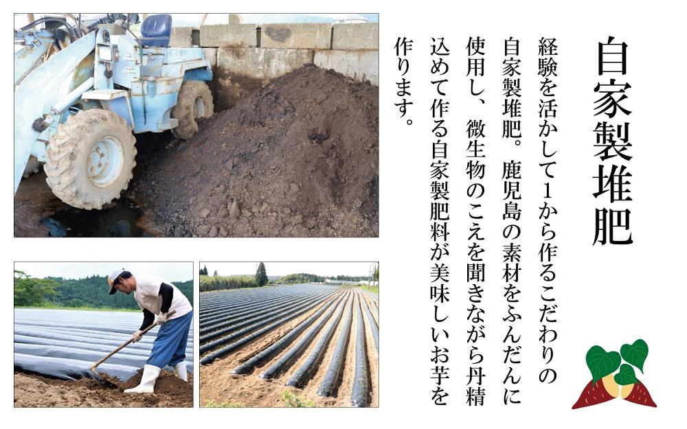 さつまいも 紅はるか 堀りたて 5kg ( 1箱 ) Sサイズ  新物 鹿児島県産 2024年12月末までに出荷